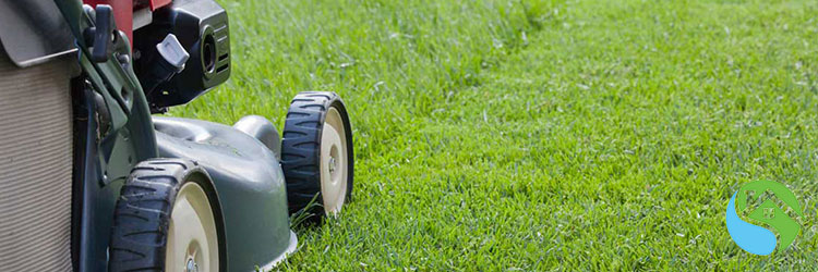 Növény-és kertgondozás